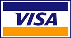 pago con visa link