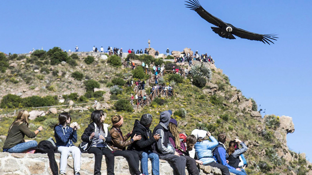 El majestuoso Mirador de los Cóndores – Arequipa