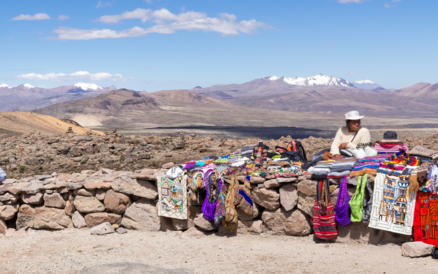 Arequipa and Moquegua: National Reserve Salinas and Aguada Blanca