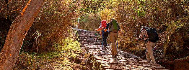 Machu Picchu - Machu Picchu