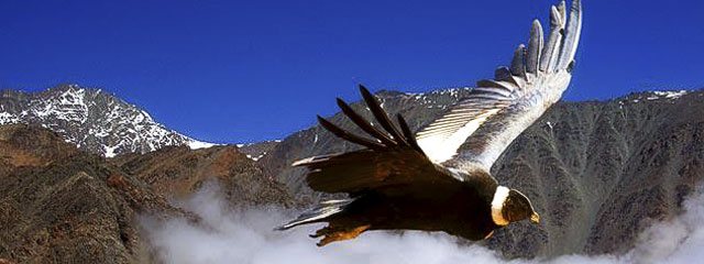 Mirador de Condores Cañon del Colca