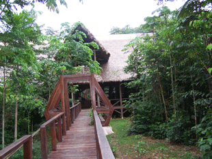 La Reserva Nacional Tambopata 