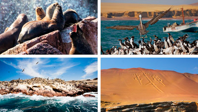 Islas Ballestas