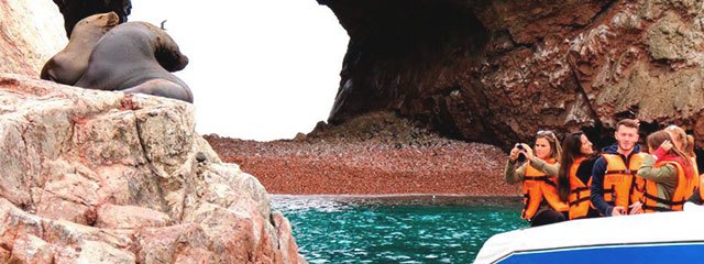 Observatorio de lobos marinos Islas Ballestas