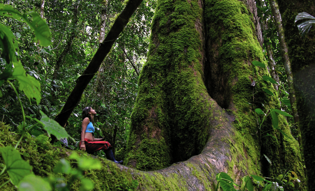 Otishi National Park - Perú