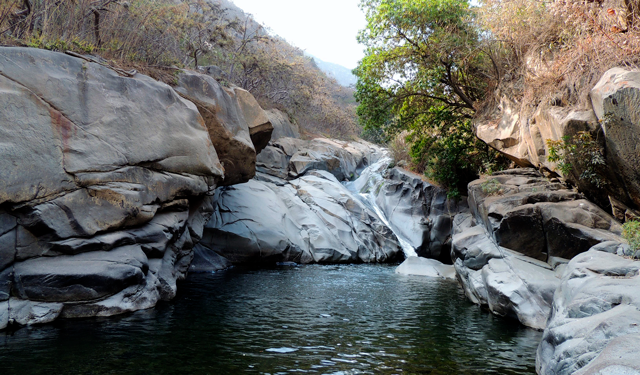 Refugio de Vida Silvestre Laquipampa - Lambayeque