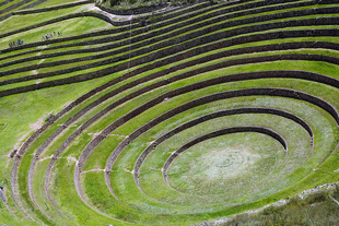 Moray Moray