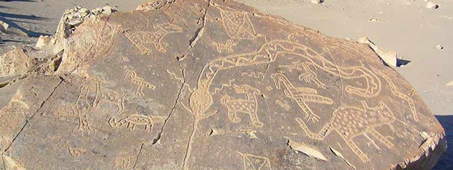 Valle de Majes y Petroglifos de Toto Muerto