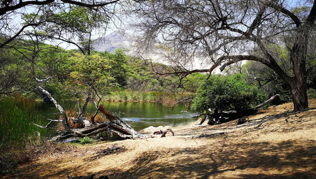 Bosque Natural El Cañoncillo: Una maravilla para los visitantes