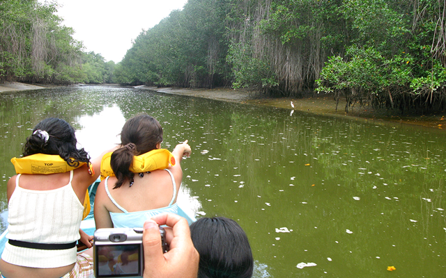 Razones para conoces los Manglares de Tumbes
