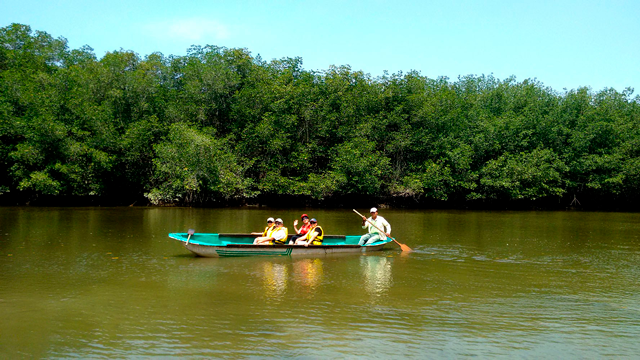 Razones para conoces los Manglares de Tumbes