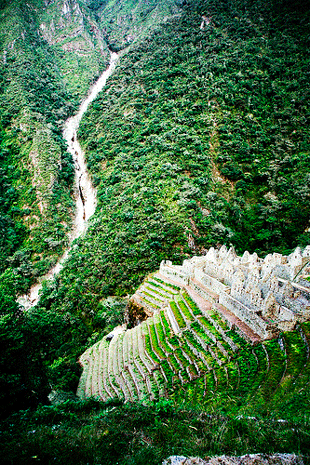 Wiñay Huayna Wiñay Huayna