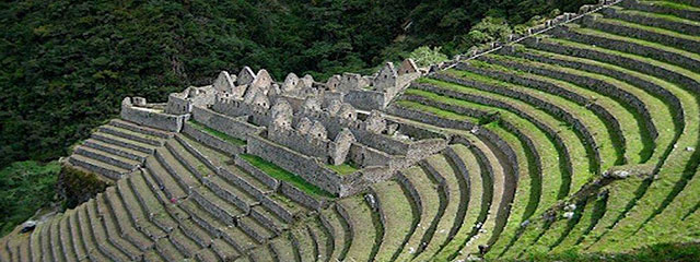 Wiñaywayna - Machu Picchu
