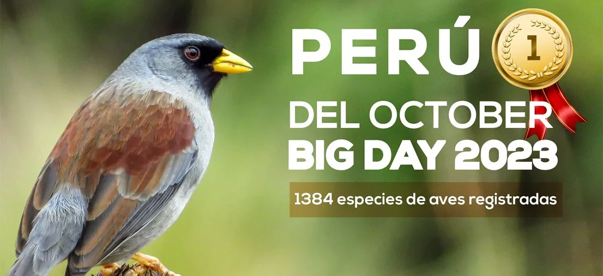 El Perú se lleva el primer lugar en el concurso mundial de observación de aves