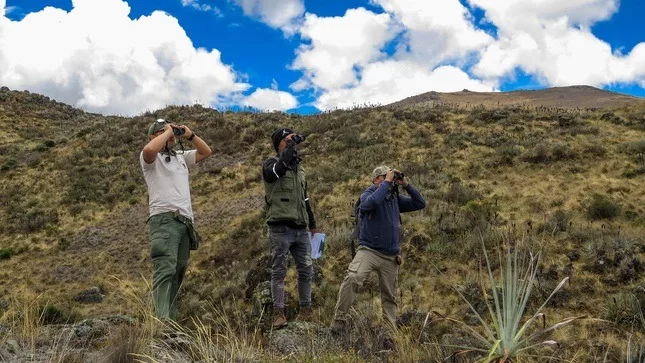 Momento de observación de aves en la naturaleza