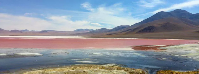 Lagua roja del Salar de Uyuni